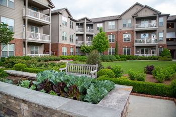 Vegetable garden